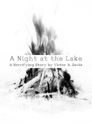 cover image of A Night at the Lake